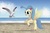 Size: 1500x1000 | Tagged: safe, artist:songbirdserenade, princess skystar, bird, classical hippogriff, hippogriff, seagull, g4, my little pony: the movie, beach, colored pupils, cute, female, flower, flower in hair, happy, jewelry, looking at something, necklace, ocean, rearing, skyabetes, smiling, solo, spread wings, unshorn fetlocks, water, wings