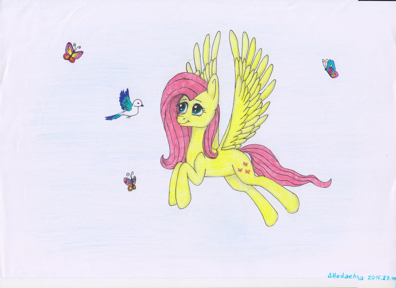 Safe Artist Deltahedgehog Derpibooru Exclusive Fluttershy Bird Butterfly