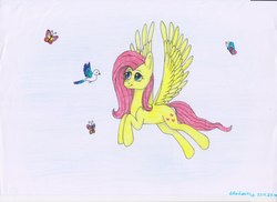 Size: 2560x1865 | Tagged: safe, artist:deltahedgehog, derpibooru exclusive, fluttershy, bird, butterfly, pegasus, pony, g4, cute, female, mare, simple background, smiling, solo, white background, wings