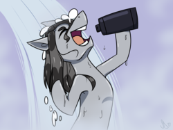Size: 2732x2048 | Tagged: safe, artist:pixxpal, oc, oc only, oc:leisure days, earth pony, pony, armpits, high res, male, open mouth, shampoo, shower, singing, singing in the shower, solo, stallion, wet, wet mane
