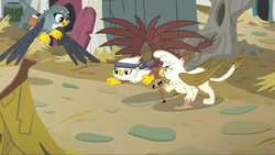 Size: 1920x1080 | Tagged: safe, screencap, gabby, gretchen, gwyneth, griffon, g4, the fault in our cutie marks, griffonstone