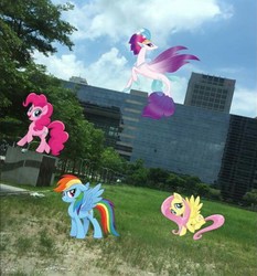 Size: 536x576 | Tagged: safe, fluttershy, pinkie pie, queen novo, rainbow dash, seapony (g4), g4, my little pony: the movie, irl, photo, ponies in real life, taichung, taiwan