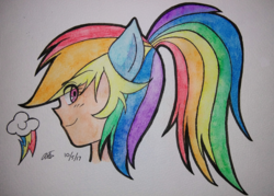 Size: 3010x2151 | Tagged: safe, artist:aloubell, rainbow dash, human, g4, colored pencil drawing, cutie mark, eared humanization, female, high res, humanized, ponytail, solo, traditional art