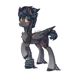 Size: 1802x1836 | Tagged: safe, artist:person8149, oc, oc only, oc:kama, pegasus, pony, female, mare, raised hoof, simple background, solo, transparent background