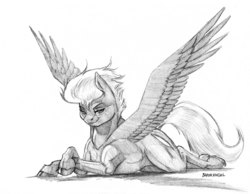 Size: 1400x1085 | Tagged: safe, artist:baron engel, oc, oc only, oc:bloodfeather, pegasus, pony, crossed hooves, female, grayscale, looking at you, mare, monochrome, pencil drawing, simple background, solo, traditional art, white background