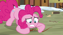 Size: 1280x720 | Tagged: safe, screencap, pinkie pie, earth pony, pony, g4, not asking for trouble, female, floppy ears, mare, solo, twig