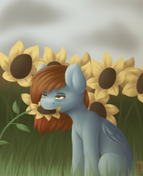 Size: 2840x3500 | Tagged: safe, artist:spirit-dude, oc, oc only, oc:spirit rose, pegasus, pony, eating, female, flower, flower in mouth, grass, herbivore, high res, horses doing horse things, mare, mouth hold, solo, sunflower
