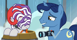 Size: 817x424 | Tagged: safe, screencap, night light, twilight velvet, pony, unicorn, g4, once upon a zeppelin, :d, affection, animated, barrel, camera, cheek kiss, cute, daaaaaaaaaaaw, female, gif, hair over eyes, helmet, husband and wife, kissing, lifejacket, love, male, mare, married couple, neighagra falls, ship:nightvelvet, shipping, stallion, straight, sweet dreams fuel, true love, velvetbetes, wet mane, wholesome
