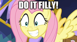 Size: 427x234 | Tagged: safe, edit, edited screencap, screencap, fluttershy, pony, a health of information, g4, do it filly, image macro, meme
