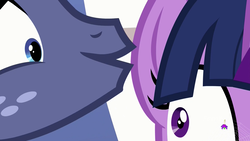 Size: 1920x1080 | Tagged: safe, screencap, star tracker, twilight sparkle, alicorn, pony, g4, once upon a zeppelin, close-up, discovery family logo, duo, female, male, mare, stallion, twilight sparkle (alicorn)