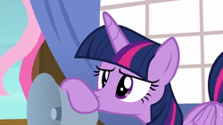 Size: 1920x1080 | Tagged: safe, screencap, star tracker, twilight sparkle, alicorn, pony, g4, once upon a zeppelin, animated, personal space invasion, sound, twilight sparkle (alicorn), webm