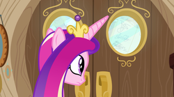 Size: 1440x800 | Tagged: safe, screencap, princess cadance, alicorn, pony, g4, once upon a zeppelin, autograph, autograph book, elvis presley, female, mare