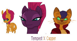 Size: 861x457 | Tagged: safe, artist:strawberryparty, capper dapperpaws, tempest shadow, oc, abyssinian, anthro, g4, my little pony: the movie, bedroom eyes, chest fluff, lidded eyes, parent:capper dapperpaws, parent:tempest shadow, parents:tapper, seductive, seductive look, sexy, stupid sexy capper, stupid sexy tempest shadow, tapper