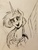 Size: 4032x3024 | Tagged: safe, artist:ncmares, princess celestia, alicorn, pony, g4, clothes, cute, cutelestia, female, hoodie, horn, inktober, mare, monochrome, open mouth, sketch, smiling, solo, traditional art, wings