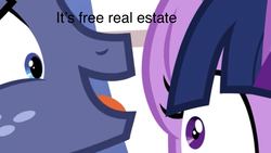 Size: 2208x1242 | Tagged: safe, edit, edited screencap, screencap, star tracker, twilight sparkle, alicorn, pony, g4, once upon a zeppelin, it's free real estate, meme, text, tim and eric, tim and eric awesome show great job, twilight sparkle (alicorn)