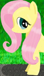 Size: 752x1280 | Tagged: safe, artist:pzycho391, fluttershy, pegasus, pony, g4, female, solo