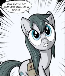 Size: 422x495 | Tagged: safe, artist:pencils, edit, cloudy quartz, earth pony, pony, comic:anon's pie adventure, g4, countryisms, cropped, dialogue, female, mare, reaction image, solo, speech bubble, stupid sexy cloudy quartz