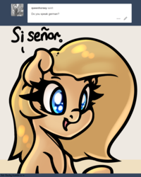 Size: 1280x1600 | Tagged: safe, artist:slavedemorto, oc, oc only, oc:backy, earth pony, pony, ask, dialogue, female, french, german, mare, no, open mouth, solo, spanish, tumblr
