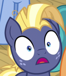 Size: 314x364 | Tagged: safe, screencap, star tracker, earth pony, pony, g4, once upon a zeppelin, airship, cropped, male, shrunken pupils, stallion, surprised, trackerbetes, zeppelin