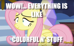 Size: 1029x645 | Tagged: safe, edit, edited screencap, screencap, fluttershy, every little thing she does, g4, fiducia compellia, flutterhigh, high, image macro, implied drug use, meme, mind control