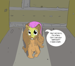 Size: 500x441 | Tagged: safe, artist:php162, fluttershy, fairy, pegasus, pony, g4, color, dialogue, dude let me in, female, looking at you, meme, messy, mud, muddy, night, outdoors, solo, speech bubble, standing, street, talking