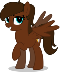 Size: 3249x3929 | Tagged: safe, artist:b(r)at, oc, oc only, oc:sierra flyer, pegasus, pony, blue eyes, cutie mark, female, high res, mare, wings