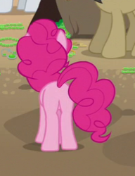 Size: 194x252 | Tagged: safe, screencap, biff, pinkie pie, withers, earth pony, pony, daring done?, g4, butt, cropped, female, glowpaz, henchmen, mare, plot, solo