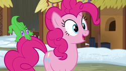 Size: 1280x720 | Tagged: safe, screencap, gummy, pinkie pie, pony, g4, not asking for trouble, biting, tail bite