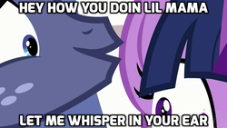 Size: 1024x576 | Tagged: safe, edit, edited screencap, screencap, star tracker, twilight sparkle, alicorn, pony, g4, once upon a zeppelin, caption, image macro, meme, song reference, twilight sparkle (alicorn), wait, wait (the whisper song), whisper, ying yang twins