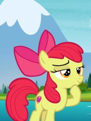 Size: 800x1072 | Tagged: safe, screencap, apple bloom, earth pony, pony, g4, marks and recreation, cute, female, smug, solo