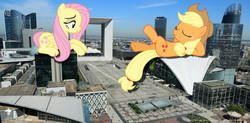Size: 3000x1470 | Tagged: safe, artist:luckreza8, artist:sakatagintoki117, artist:theotterpony, applejack, fluttershy, pony, g4, irl, la défense, lidded eyes, macro, not what it looks like, paris, photo, ponies in real life, prone, story in the source, story included