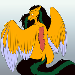 Size: 700x700 | Tagged: safe, artist:foxenawolf, oc, oc only, oc:ashen ember, pegasus, pony, female, scar, solo