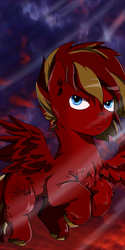 Size: 2000x4000 | Tagged: safe, artist:helgabuttercup, oc, oc only, pegasus, pony, chest fluff, hooves, male, solo, stallion