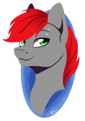 Size: 2042x2880 | Tagged: safe, artist:shkura2011, oc, oc only, pony, bust, high res, male, portrait, simple background, solo, stallion, transparent background