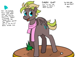 Size: 1600x1200 | Tagged: safe, artist:pony quarantine, oc, oc only, oc:gabby gust, pegasus, pony, braces, clothes, female, mare, reference sheet, scarf, simple background, solo, transparent background