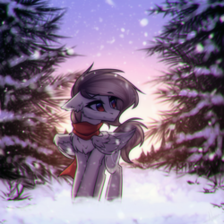 Size: 2000x2000 | Tagged: safe, artist:norra, oc, oc only, oc:santanna, pegasus, pony, chest fluff, clothes, cold, floppy ears, happy, high res, outdoors, pine tree, scarf, smiling, snow, snowfall, tree, ych result