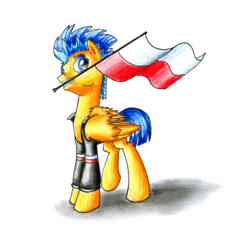 Size: 2100x1980 | Tagged: safe, artist:nightpaint12, flash sentry, pegasus, pony, g4, flag, independence day, male, mouth hold, poland, polish national independence day, solo, stallion, traditional art