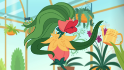 Size: 1280x720 | Tagged: safe, screencap, audrey 3, equestria girls, g4, my little pony equestria girls: better together, my little shop of horrors, flower, greenhouse, plant, potted plant, room to grow, watering can