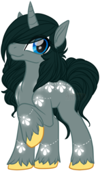 Size: 383x650 | Tagged: safe, artist:pancaked, artist:sequin, oc, oc only, oc:sequined, pony, unicorn, patreon:syruped, raised hoof, simple background, solo, transparent background, unshorn fetlocks