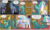 Size: 1920x1149 | Tagged: safe, artist:pencils, bon bon, princess celestia, sweetie drops, oc, oc:glenda gullwind, alicorn, earth pony, griffon, pony, comic:sunbutt sunday, g4, ..., chibi, comic, cowering, crown, crying, dialogue, door, eye contact, female, frog (hoof), horseshoes, jewelry, knocking, looking at each other, magic, mare, on back, panic, paws, peytral, regalia, speech bubble, teleportation, underhoof