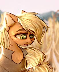 Size: 1648x2000 | Tagged: safe, artist:segraece, applejack, earth pony, pony, g4, clothes, commission, female, mare, shirt, solo
