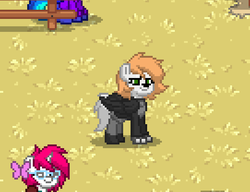 Size: 542x416 | Tagged: safe, oc, oc only, oc:nightshade (furry), coyote, pony, pony town, clothes, fingerless gloves, furry, gloves, screenshots