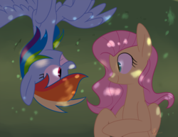 Size: 2597x2000 | Tagged: safe, artist:yaco, fluttershy, rainbow dash, pegasus, pony, g4, dappled sunlight, eye contact, female, high res, lesbian, looking at each other, lying down, mare, on back, ship:flutterdash, shipping, smiling, spread wings, wings