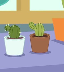 Size: 411x458 | Tagged: safe, screencap, equestria girls, g4, my little pony equestria girls: better together, my little shop of horrors, cactus, cropped, plant, potted plant