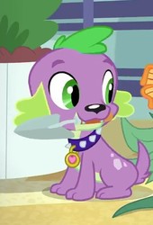 Size: 489x720 | Tagged: safe, screencap, spike, spike the regular dog, dog, equestria girls, equestria girls series, g4, my little shop of horrors, cropped, male, mouth hold, paws, puppy, smiling, solo, trowel