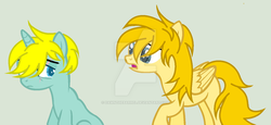 Size: 1024x470 | Tagged: safe, artist:dawnthebarrel, pony, bunny (south park), butters stotch, gay, kenny mccormick, male, ponified, scar, shipping, south park, watermark
