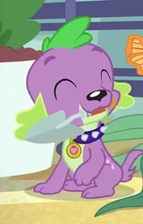 Size: 461x720 | Tagged: safe, screencap, spike, spike the regular dog, dog, equestria girls, g4, my little pony equestria girls: better together, my little shop of horrors, cropped, cute, eyes closed, male, mouth hold, paws, smiling, solo, trowel