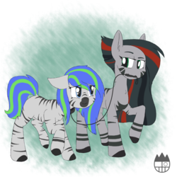 Size: 1024x1024 | Tagged: safe, artist:sanyo2100, oc, oc only, oc:azumaz, oc:star gazer, zebra, collar, leash, species swap, zebra oc, zebrafied