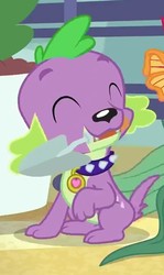 Size: 430x720 | Tagged: safe, screencap, spike, spike the regular dog, dog, equestria girls, equestria girls series, g4, my little shop of horrors, eyes closed, male, mouth hold, paws, puppy, trowel