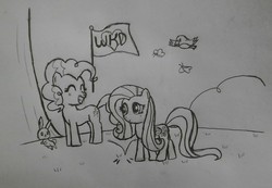 Size: 2524x1748 | Tagged: safe, artist:cartooniste2z, fluttershy, pinkie pie, g4, sketch